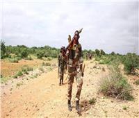 وسائل إعلام صومالية تكشف عن تفاصيل عملية استهداف أعضاء حركة الشباب داخل الغابات