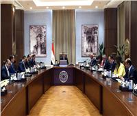 رئيس الوزراء يتابع تنفيذ جهود جذب وتعظيم سياحة اليخوت 
