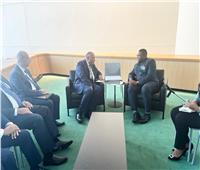 شكري يلتقي مع وزير الخارجية والتعاون الدولي لجمهورية سيراليون
