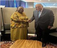 وزير الخارجية يؤكد على الاهتمام بتعزيز التعاون الاقتصادي مع جنوب أفريقيا 
