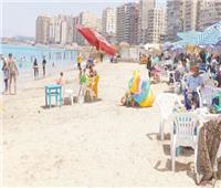 «كبش أروى وقرد حبشى» أحدث ضيوف «حيوانات الإسكندرية»