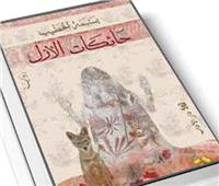 حائكات الأزل: رؤية 