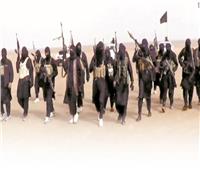 الإخوان «أصل الإرهاب»