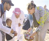 التنمية الزراعية تُعيد الحياة للصحراء سدود لتجميع مياه الأمطار.. وتوزيع ٥٠ ألف شتلة زيتون مجانًا