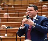 هشام الحصرى: مشروع قانون جهاز مستقبل مصر يحقق الاستفادة القصوى من أصول الدولة