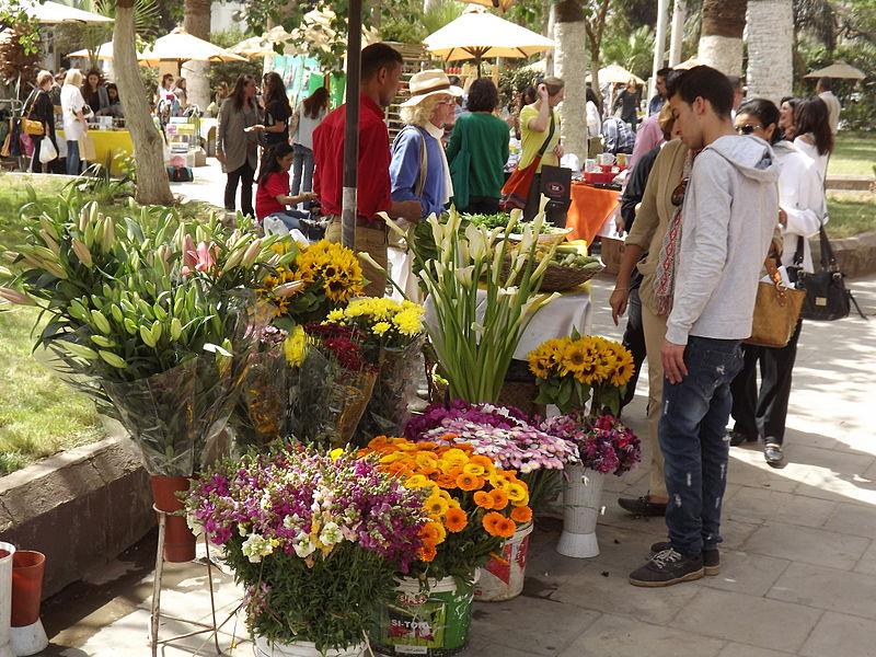  حكايات| قصة حب ملكة فرنسا وخديوي مصر التي بسببها تم بناء «حديقة الاسماك»