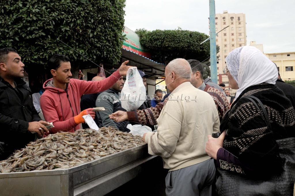 بالصور|أسماك غليون بـ 22 منفذ في الإسكندرية.. والجمبري بـ 90 جنيها