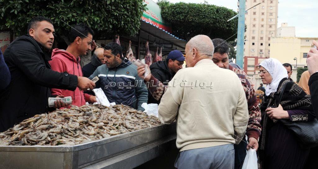 بالصور|أسماك غليون بـ 22 منفذ في الإسكندرية.. والجمبري بـ 90 جنيها