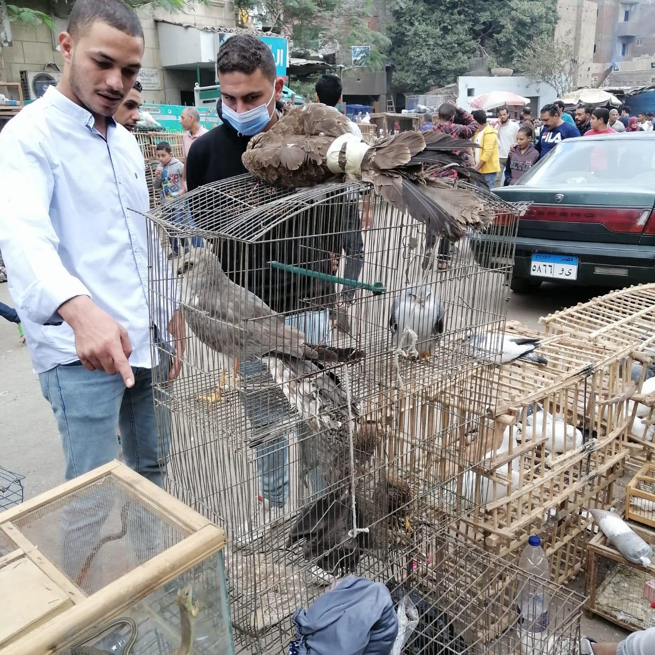 سوق الجمعة في آخر محطة قبل الانتقال لـ «التونسي»