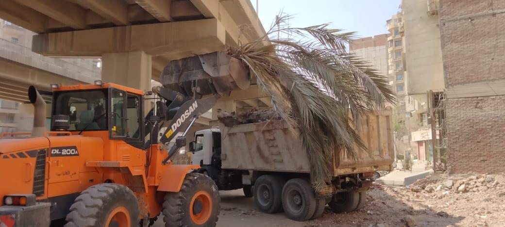 رفع مخلفات المريوطية وترسا في الطالبية بالجيزة