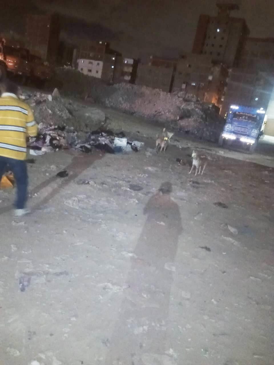 بعد عقر 37 شخصا..حي العجمي يطارد الكلاب الضالة في الإسكندرية| صور