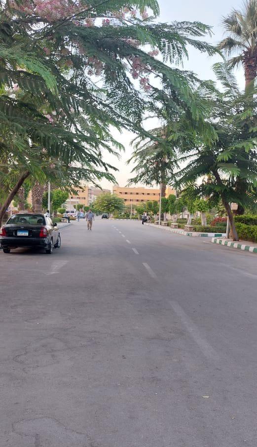 جامعة القاهرة تنتهي من كافة الاستعدادات لبدء العام الدراسي الجديد واستقبال 260 ألف طالب أول اكتوبر
