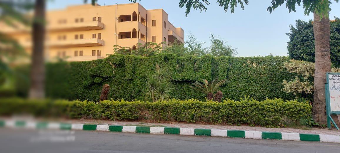 جامعة القاهرة تنتهي من كافة الاستعدادات لبدء العام الدراسي الجديد واستقبال 260 ألف طالب أول اكتوبر
