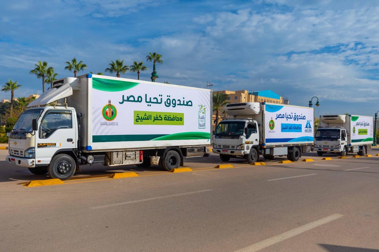صندوق تحيا مصر ينظم قافلة حماية الاجتماعية بمحافظة كفر الشيخ