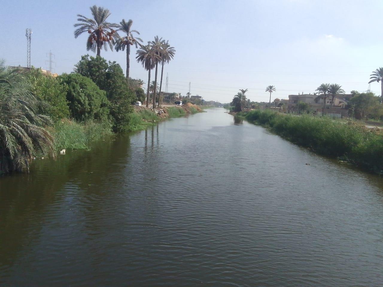 محافظة الجيزة:  توضح اسباب وجود بقع زيتية بترعة المريوطية