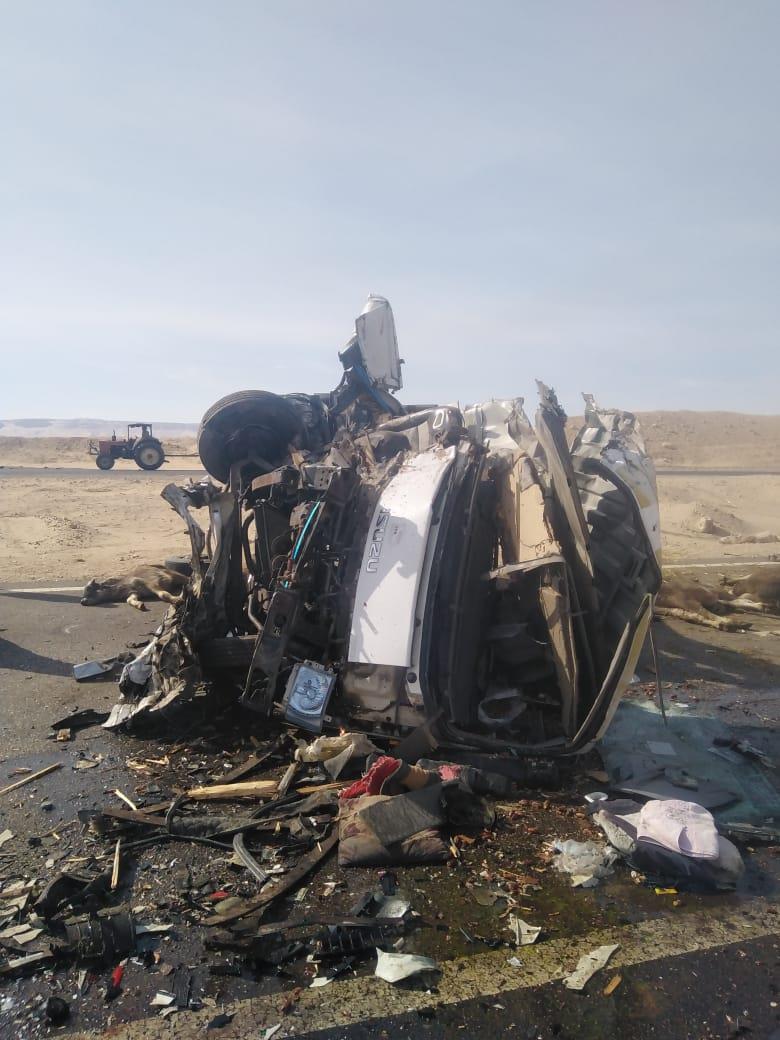 انقلاب سيارة محملة ب 17 رأس ماشية بصحراوي قنا
