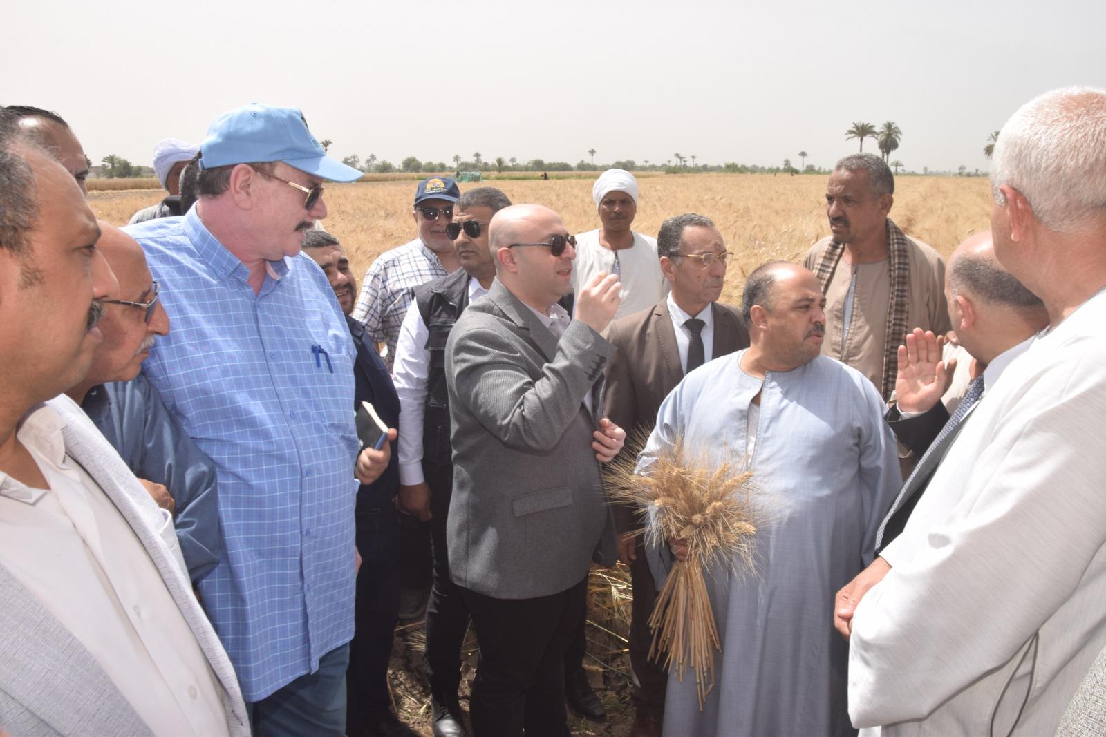 محافظ بني سويف يفتتح موسم حصاد القمح 