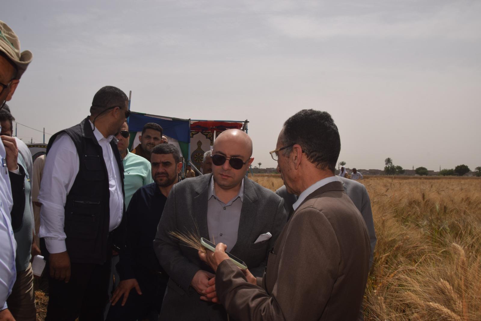 محافظ بني سويف يفتتح موسم حصاد القمح 