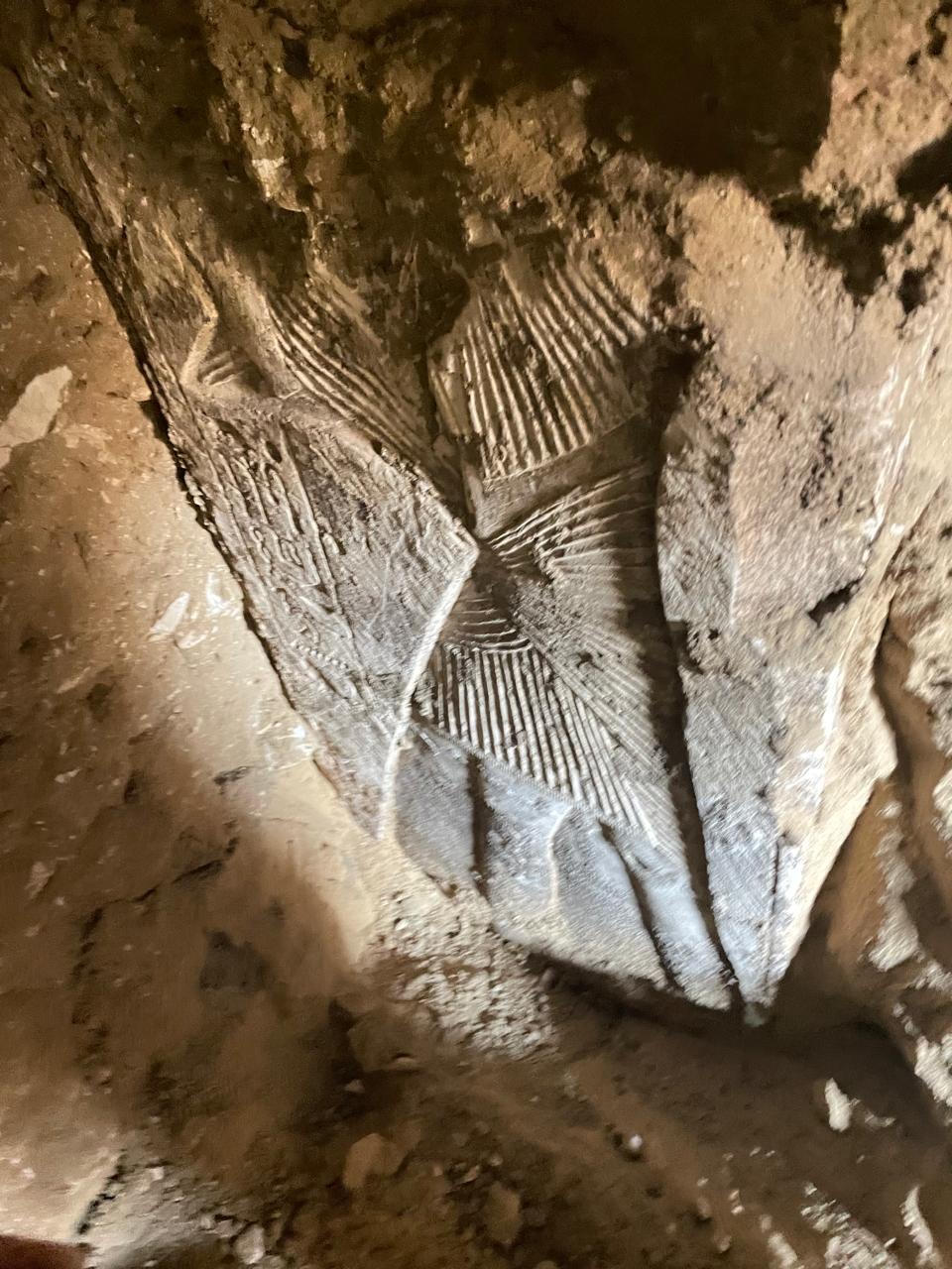 الأمطار أرشدت عن الكنز