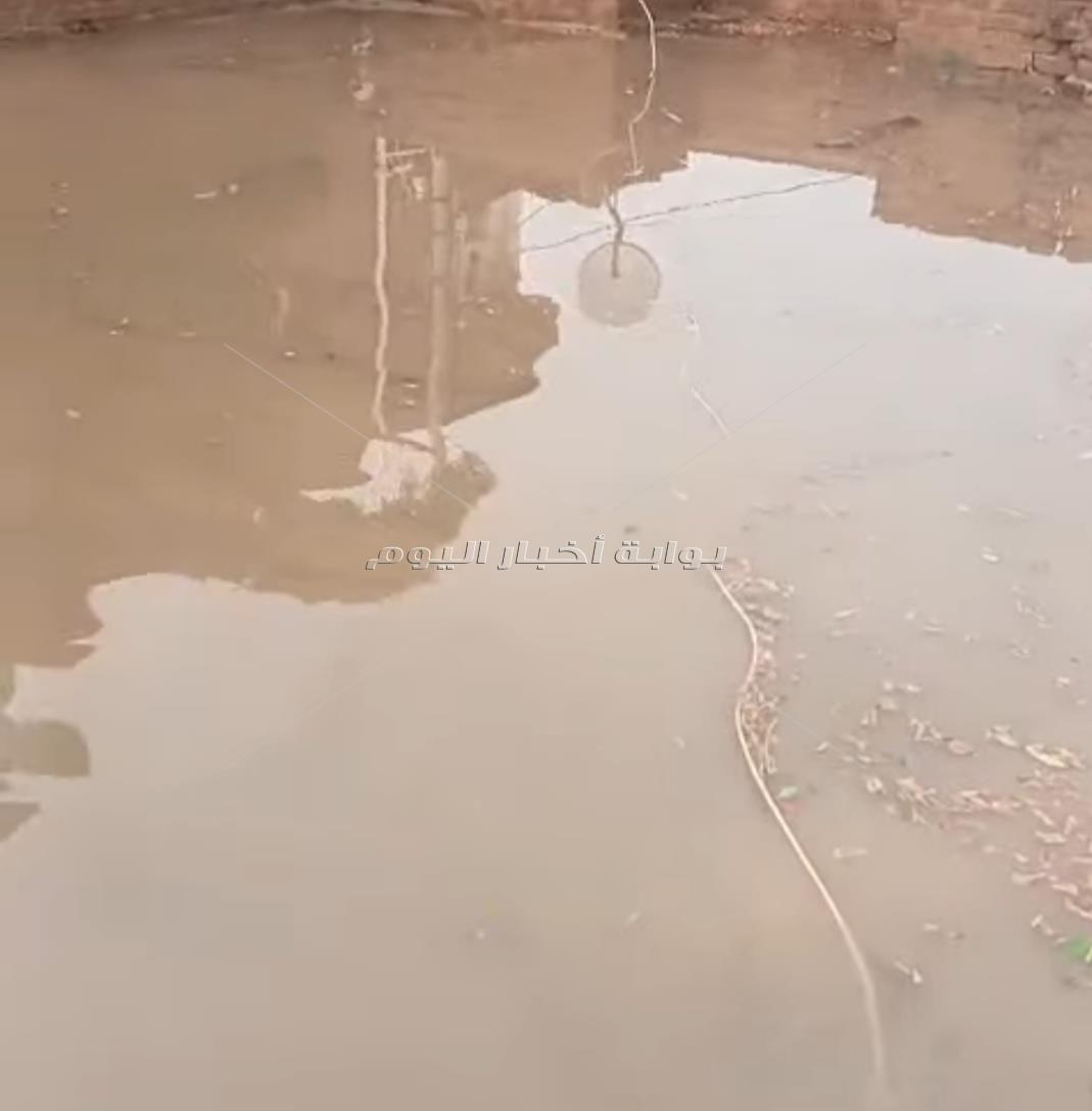 سقوط أمطار غزيرة على محافظة المنوفية