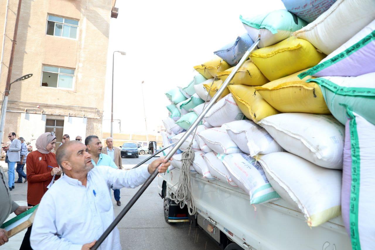 توريد 603 ألف و 499 طنا من القمح لصوامع وشون الشرقية| صور  