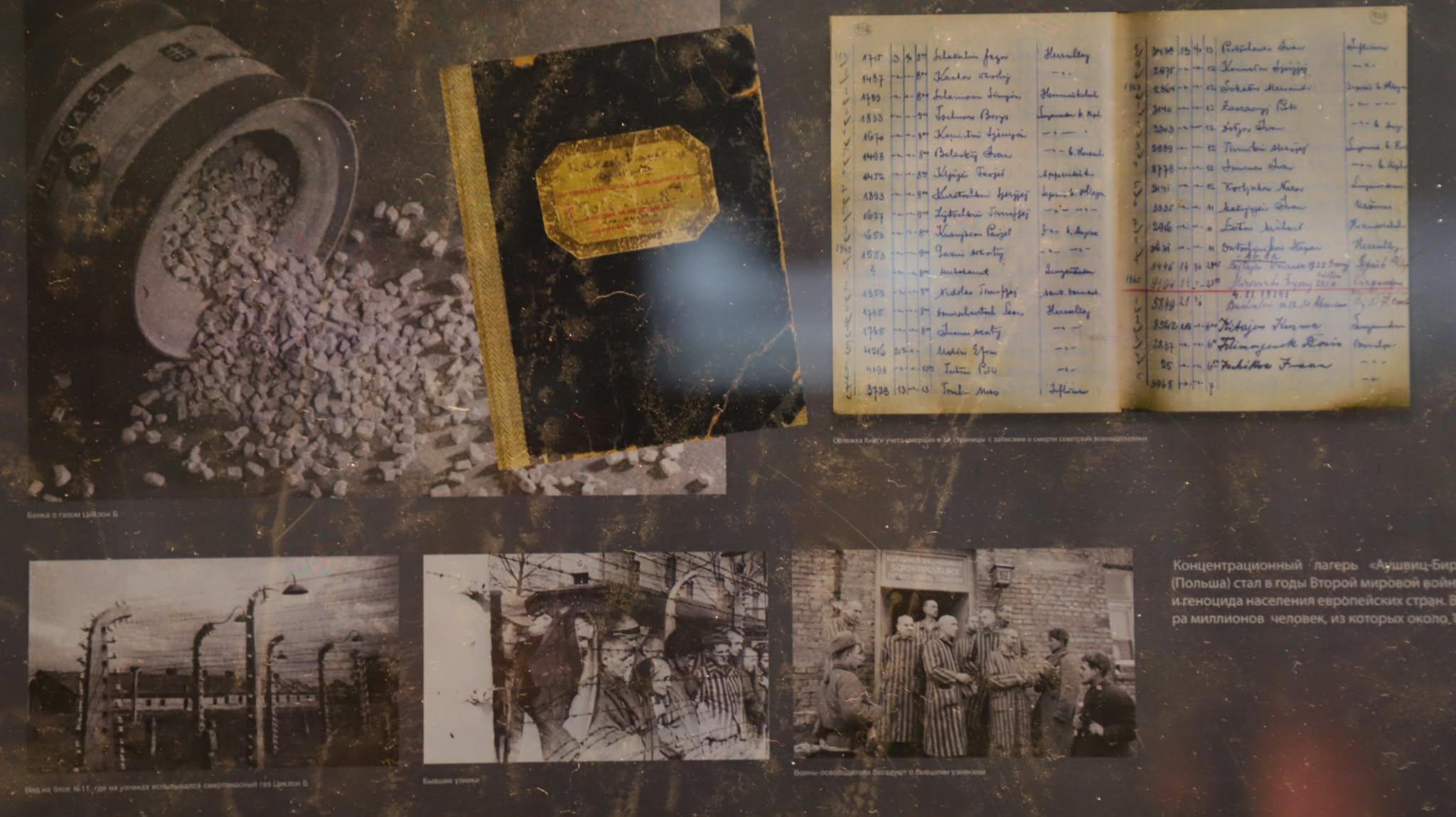 متحف النصر الروسي يعرض جرائم النازية بالقاهرة 