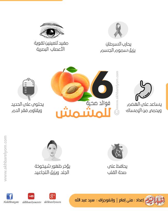 إنفوجراف 6 فوائد صحية للمشمش تعرف عليها بوابة أخبار اليوم الإلكترونية