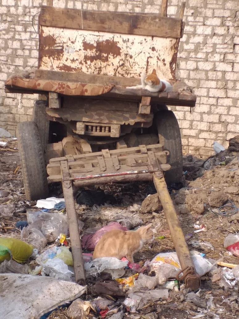العربة التي حملت الطفلة ولفظت أنفاسها الأخيرة فيها 