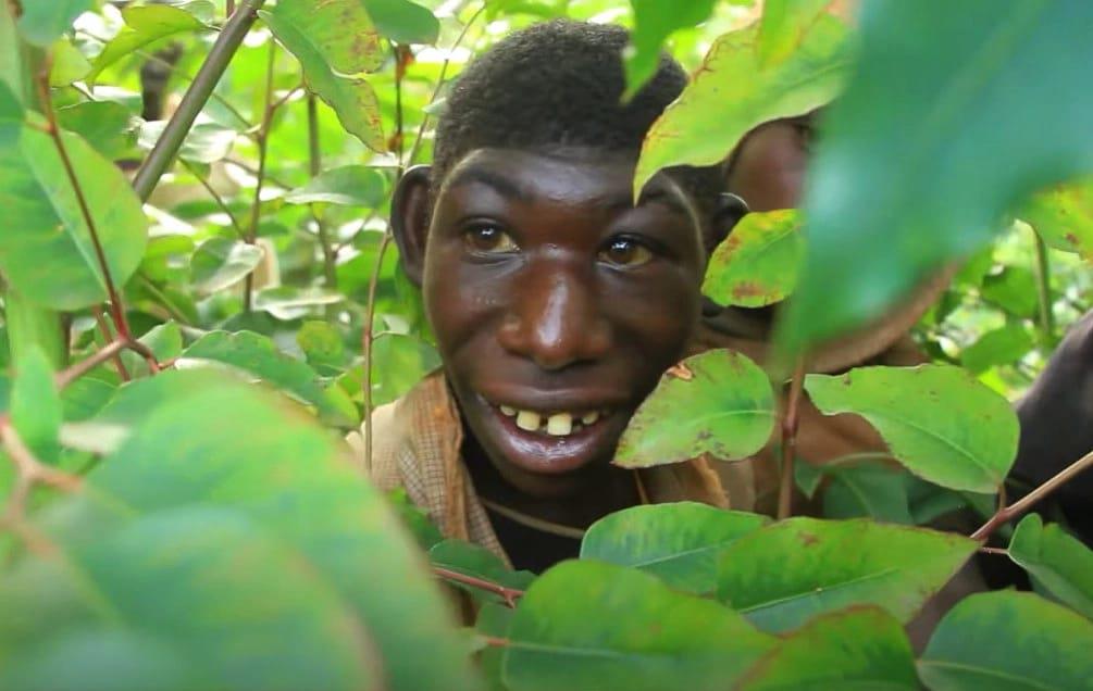 حكايات رجل الغابة يمشي 20 ميلا بين الأدغال هربًا من التنمر بوابة أخبار اليوم الإلكترونية