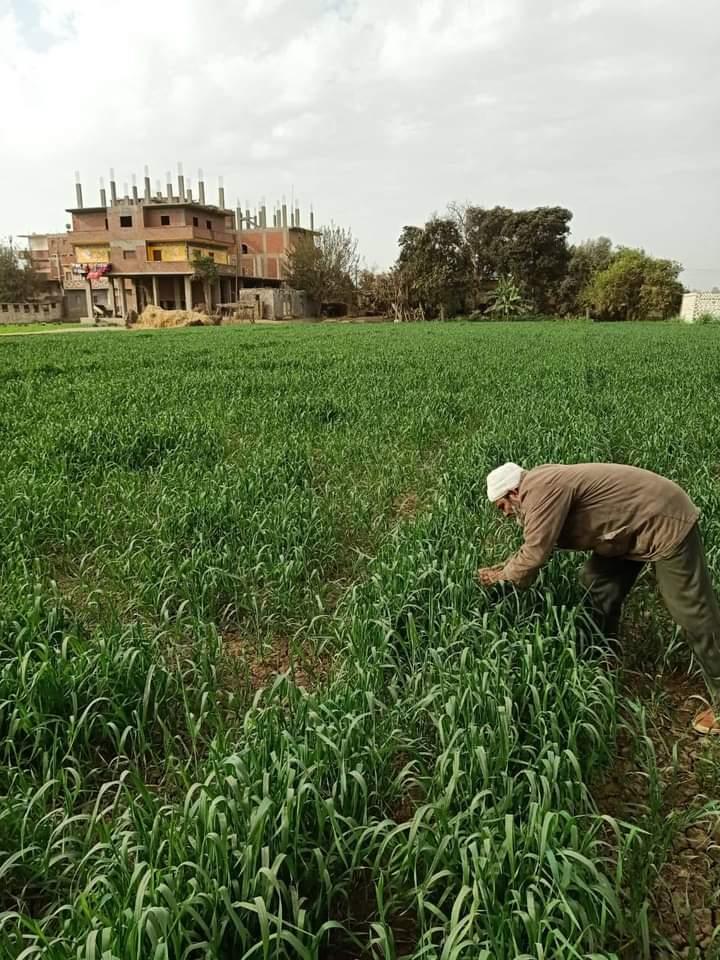  المهندس  أشرف سعد الجمل