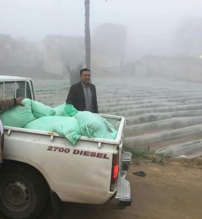 دقيق