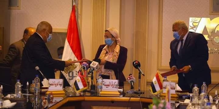محافظ الوادي الجديد 