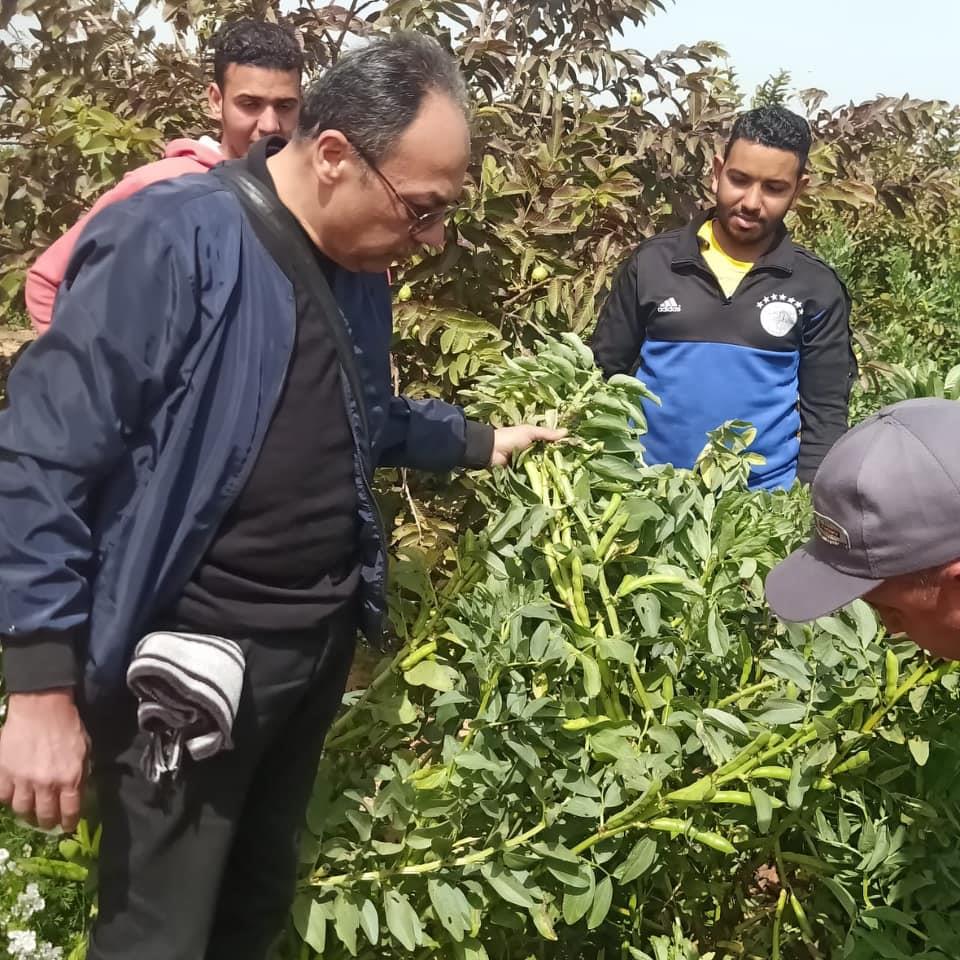 حقول زراعية