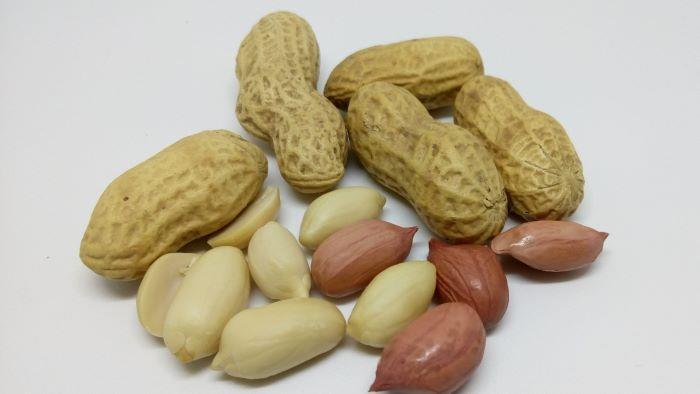 الفول السوداني