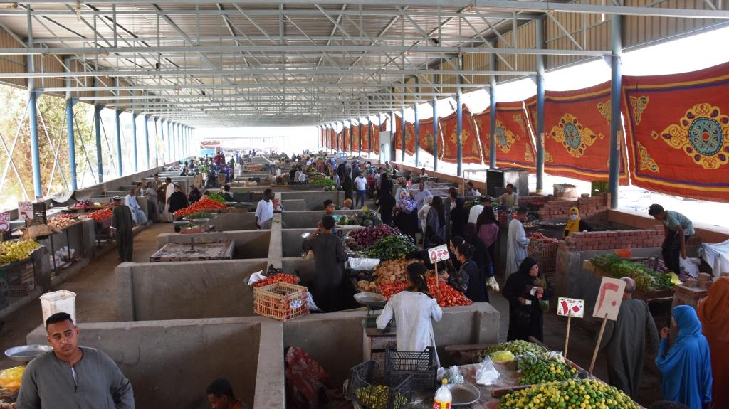 محافظ أسوان