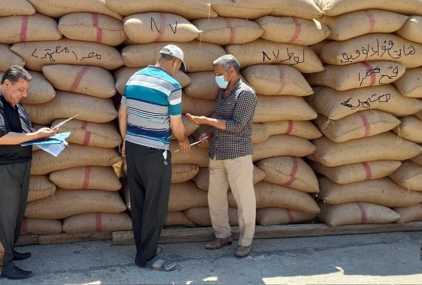 خلال الزيارات الميدانية على محطات التقاوي في محافظة الفيوم 