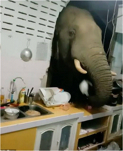 جنوب تايلاند،