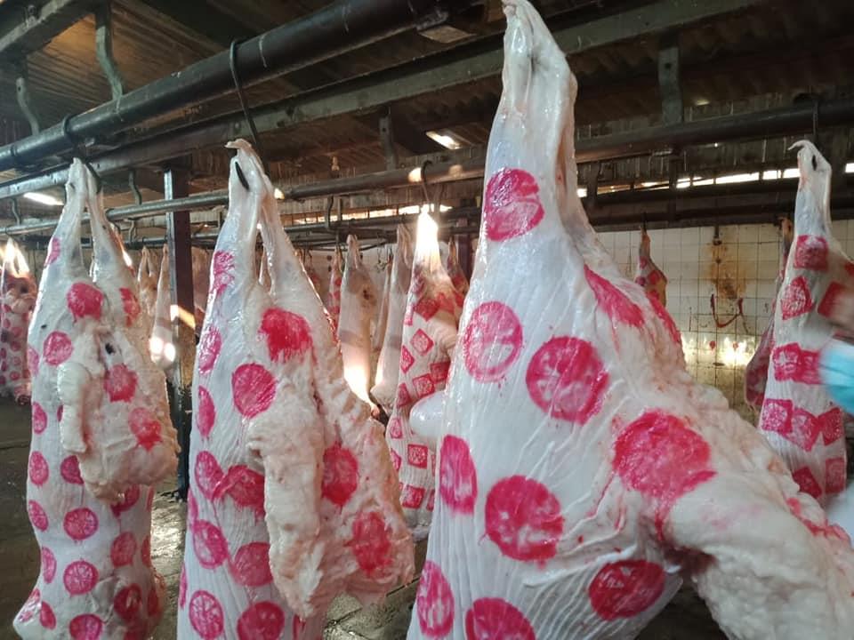 المجازر فلتر لرصد أمراض الذبائح