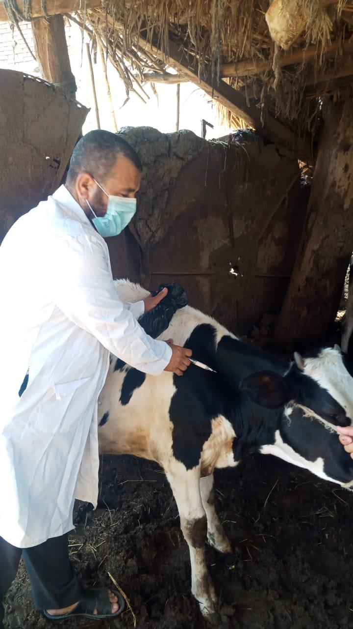 مديرية الطب البيطرى بالغربية