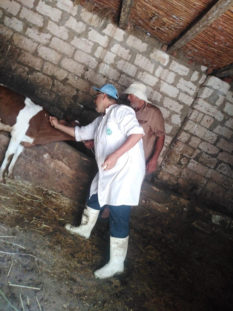 مديرية الطب البيطرى بالغربية