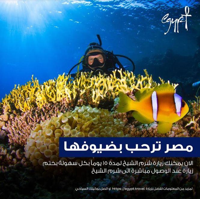 - وزارة السياحة والآثار تواصل حملتها للتعريف بالتسهيلات الجديدة في إجراءات الحصول على التأشيرة السياحية إلى مصر