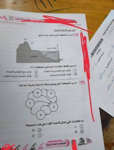 طالبة تصور بياناتها مع ورقة أسئلة الجيولوجيا