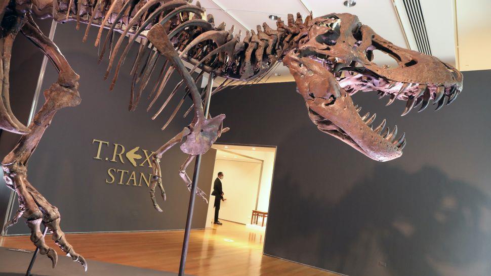 سر إلغاء مزاد لـ«ديناصور ضخم» في آسيا 3