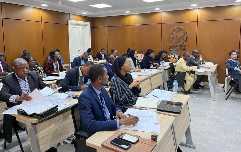 دورة تدريبية للكوادر الدبلوماسية من الدول الأفريقية
