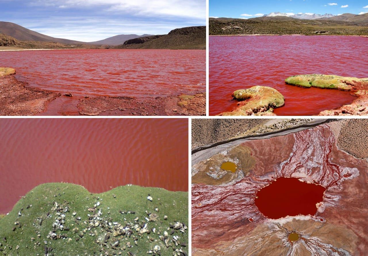 بحيرة «الدم».. رحلة سياحية برفقة «الشيطان»| صور | بوابة أخبار اليوم  الإلكترونية