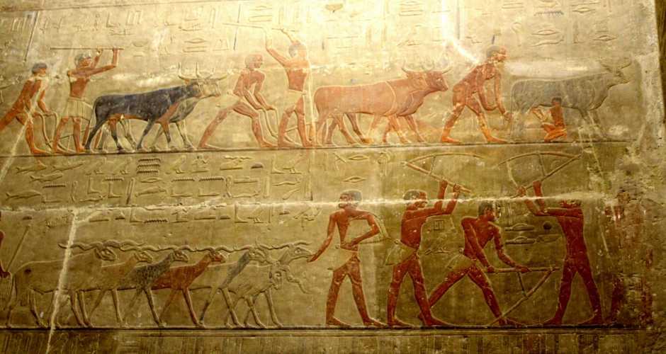  مصر تبهر العالم من جديد في سقارة