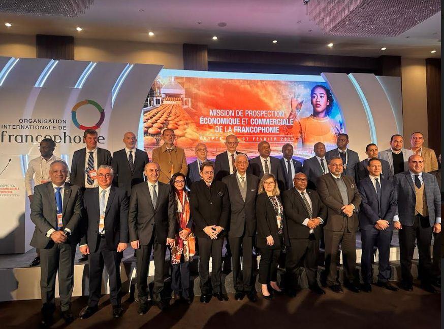 جمعية رجال الأعمال المصريين الأفارقة :