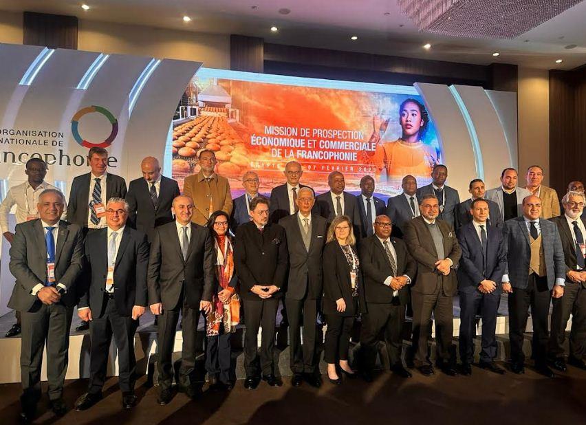 جمعية رجال الأعمال المصريين الأفارقة :