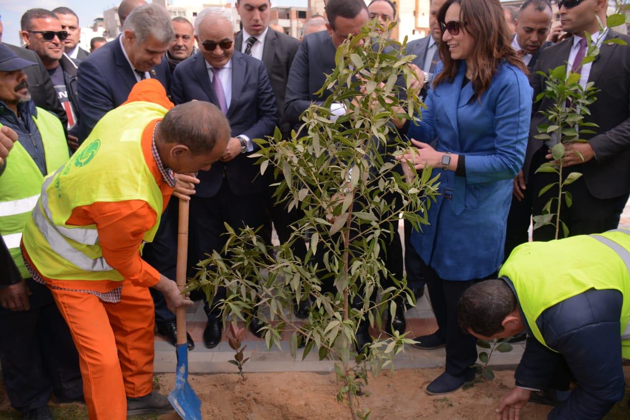وزيرا التنمية المحلية والتربية والتعليم ونائب محافظ البحيرة يشهدون اصطفاف 45 سيارة تضم 130 ألف شجرة 