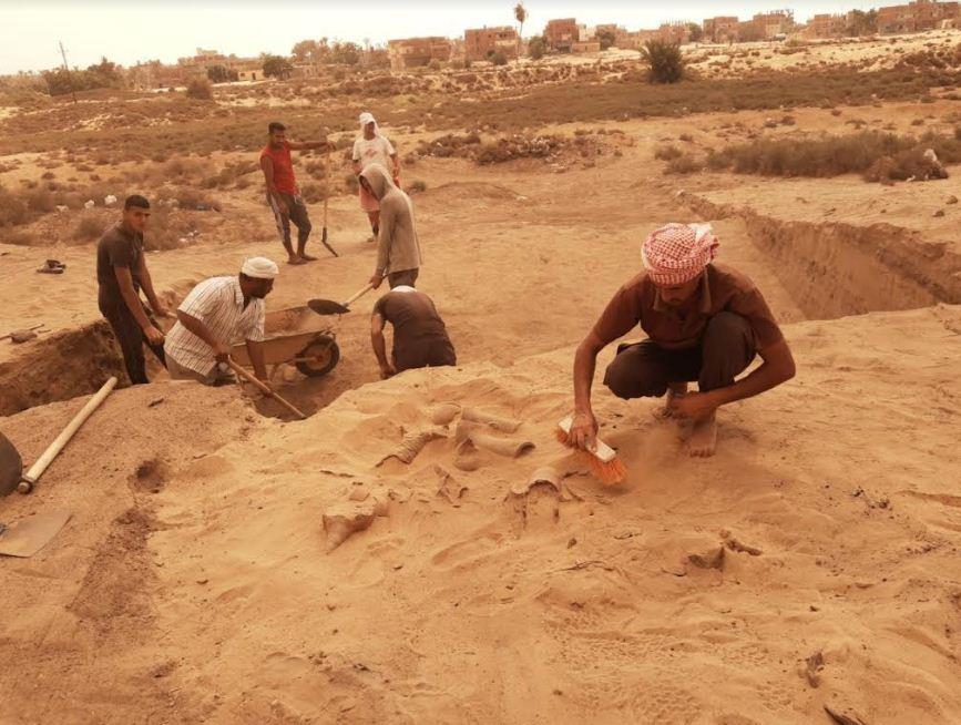 مجموعة من الأواني والأمفورات الرومانية